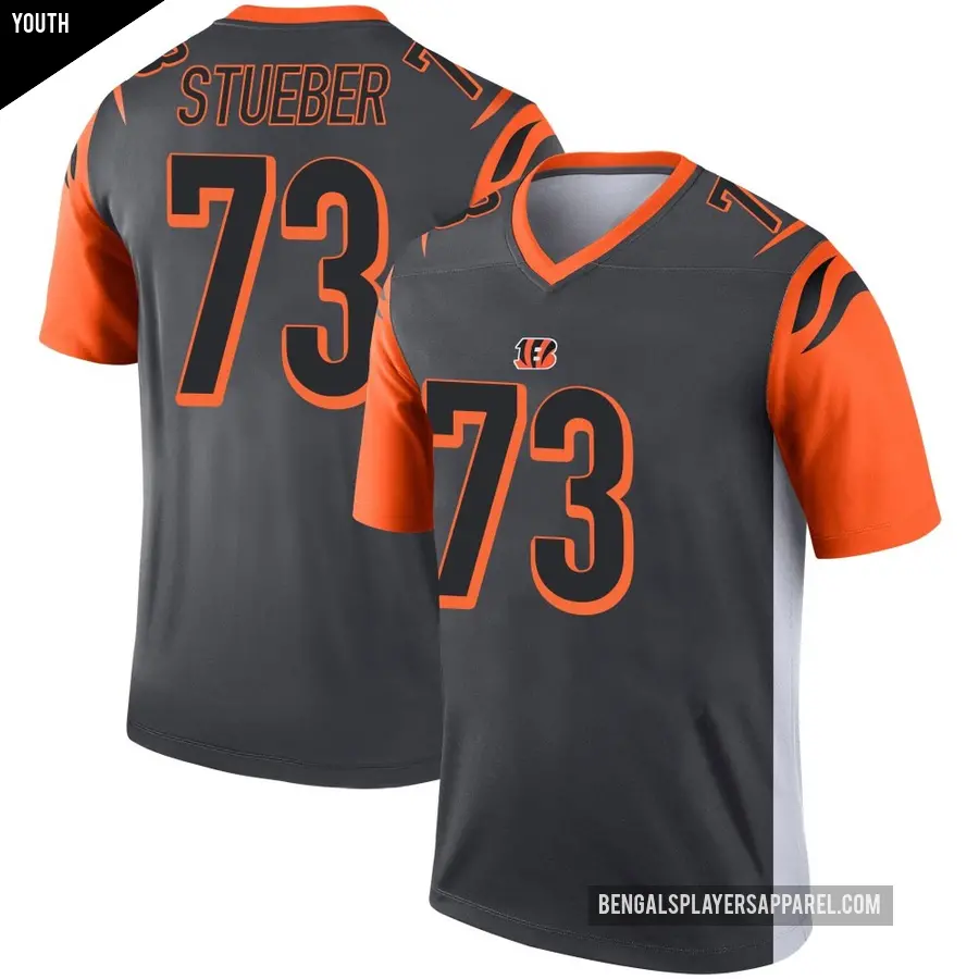 Youth Cincinnati Bengals ＃73 Andrew Stueber Legend Silver Jersey